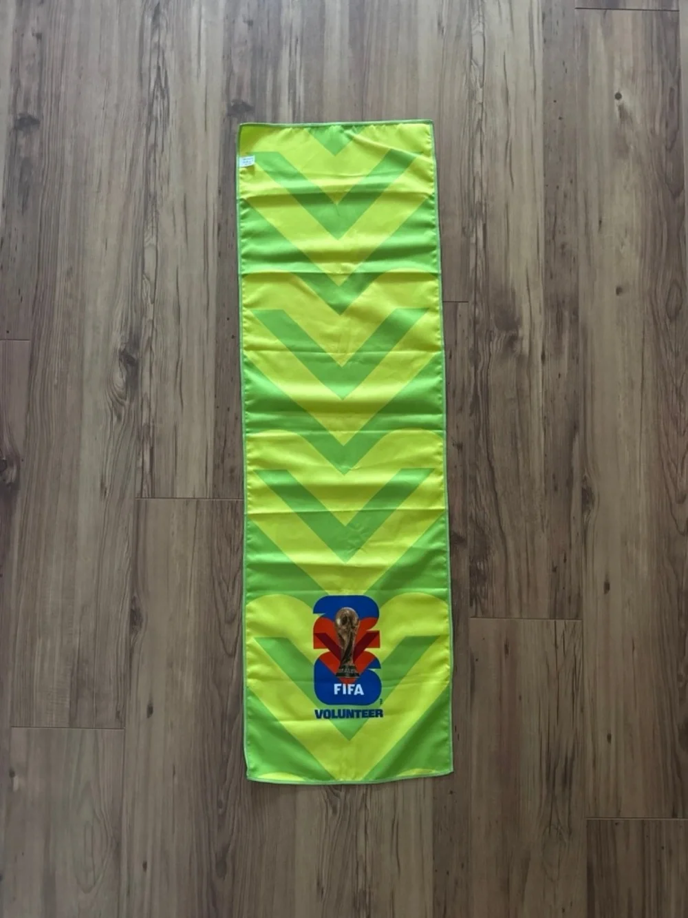 Fifa official volunteer